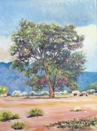 blue mountains and tree